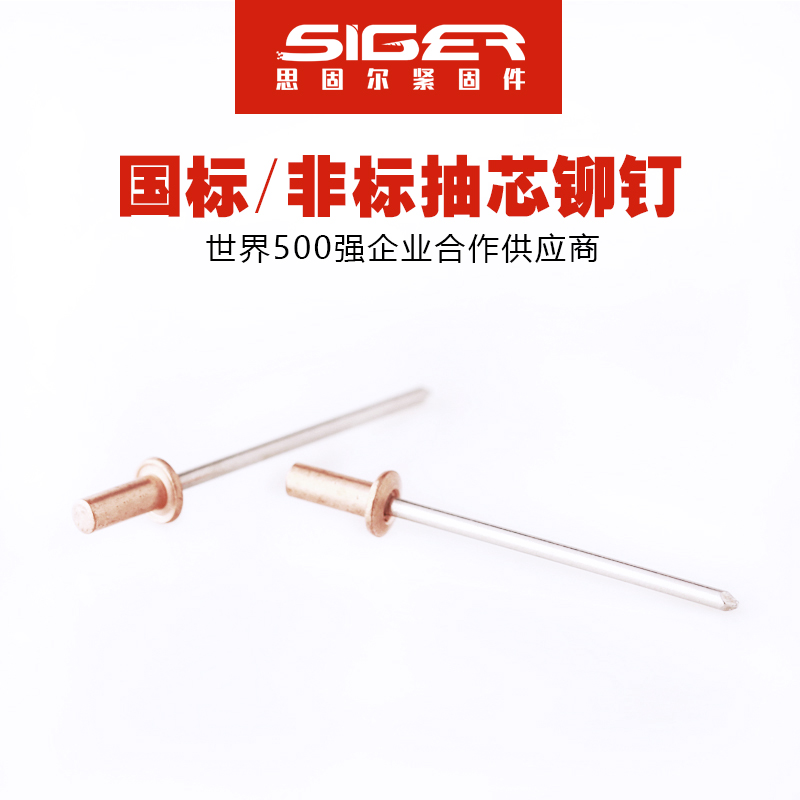 圓頭封閉銅不銹鋼抽芯鉚釘