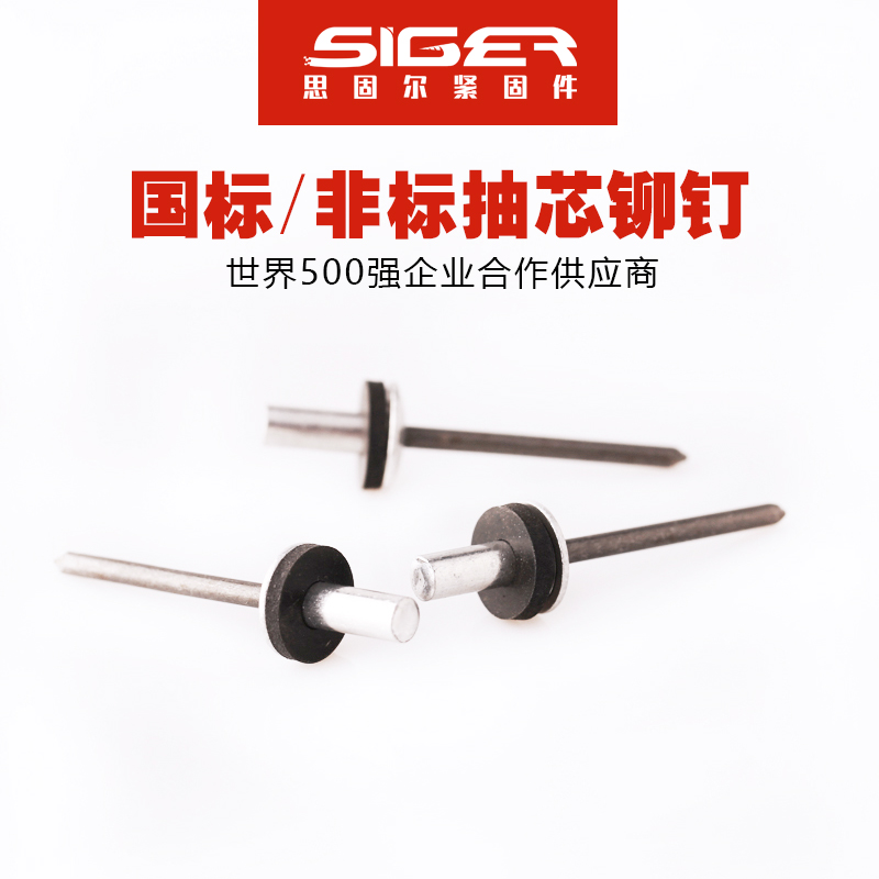 封閉型防水大帽圓頭鋁抽芯鉚釘
