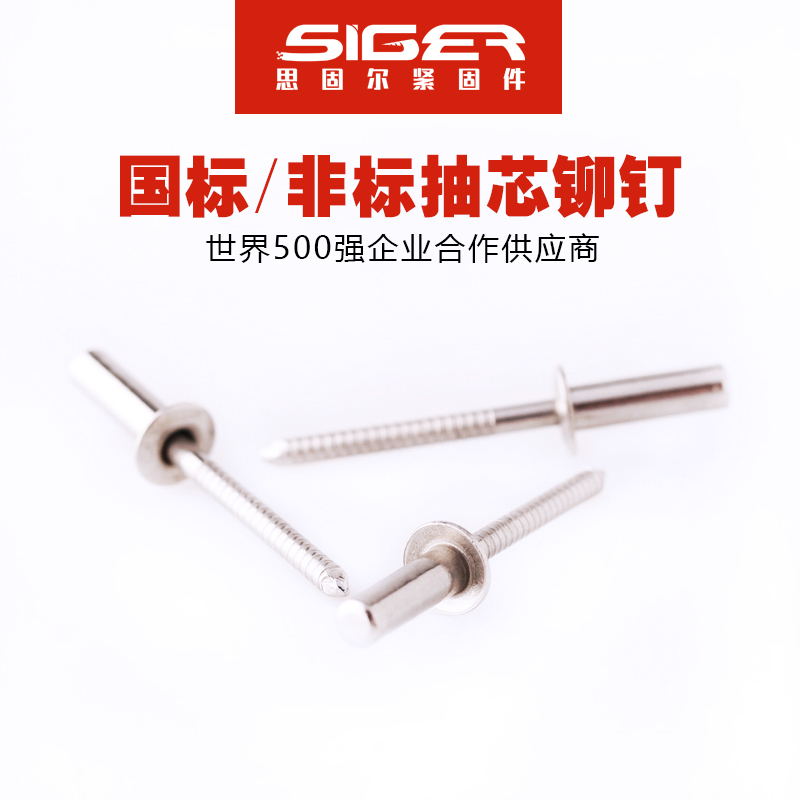 封閉型圓頭全不銹鋼抽芯鉚釘